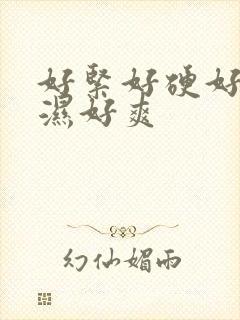 好紧好硬好大好湿好爽