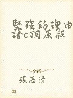 坚强的理由吉他谱c调原版