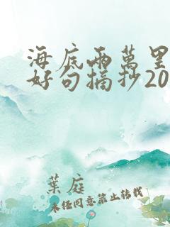 海底两万里好词好句摘抄200字