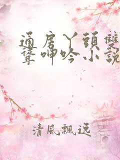 通房丫头双乳高耸呻吟小说