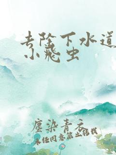 去除下水道臭味 小飞虫