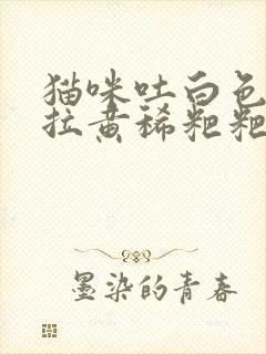 猫咪吐白色泡沫拉黄稀粑粑