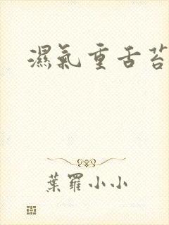 湿气重舌苔白黄