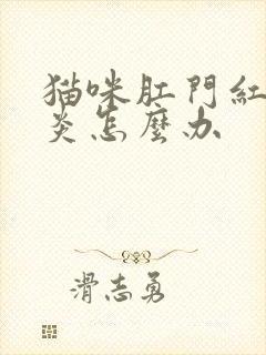 猫咪肛门红肿发炎怎么办