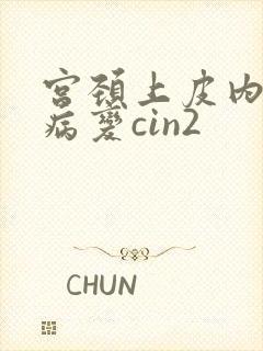 宫颈上皮内高度病变cin2