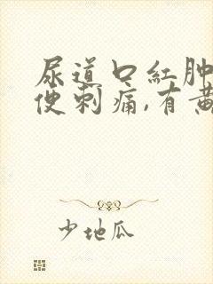 尿道口红肿,小便刺痛,有黄色分泌物