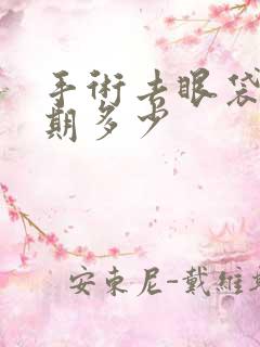 手术去眼袋恢复期多少