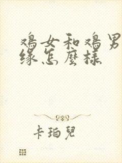 鸡女和鸡男的姻缘怎么样