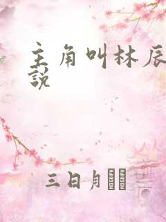 主角叫林辰的小说