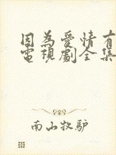 因为爱情有多美电视剧全集观看