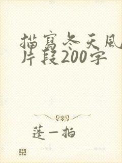 描写冬天风景的片段200字