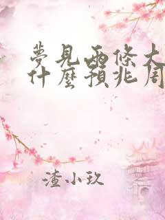 梦见两条大蛇是什么预兆周公解梦