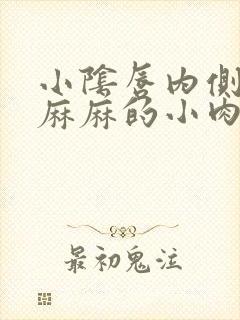 小阴唇内侧密密麻麻的小肉芽