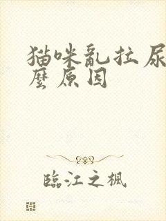 猫咪乱拉尿是什么原因