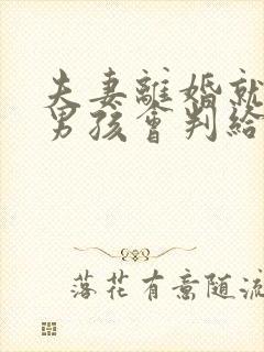 夫妻离婚就一个男孩会判给谁