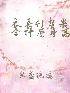 衣长41厘米适合什么身高