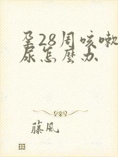 孕28周咳嗽漏尿怎么办