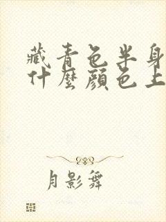 藏青色半身裙配什么颜色上衣好看