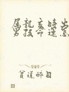 属龙亥时出生的男孩命运怎么样