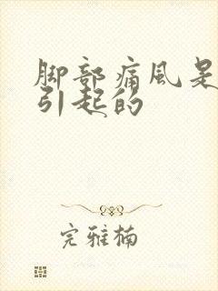 脚部痛风是怎么引起的