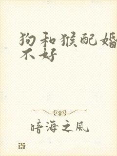 狗和猴配婚姻好不好