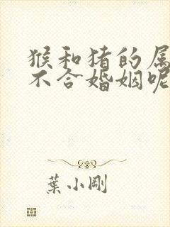 猴和猪的属相合不合婚姻呢