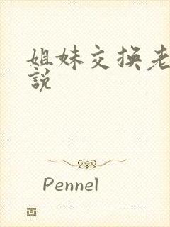 姐妹交换老公小说