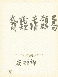 感谢老领导的话简短精辟句子