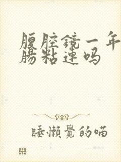 腹腔镜一年后会肠粘连吗