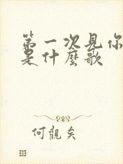 第一次见你的我是什么歌