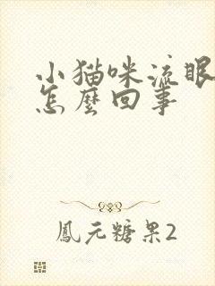 小猫咪流眼泪是怎么回事