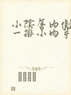 小阴唇内侧长了一排小肉芽