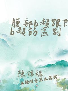 腹部b超跟阴道b超的区别