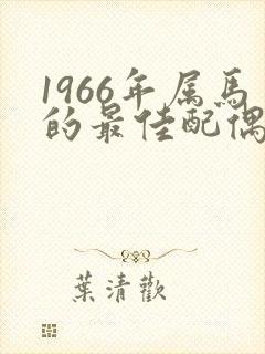 1966年属马的最佳配偶属相