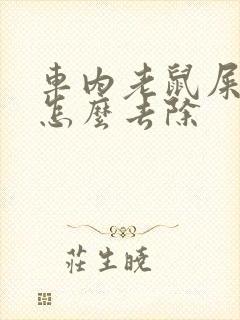 车内老鼠屎尿味怎么去除