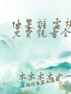 他是谁 电视剧免费观看全集