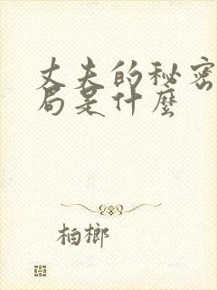 丈夫的秘密大结局是什么