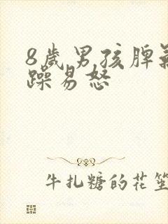 8岁男孩脾气暴躁易怒