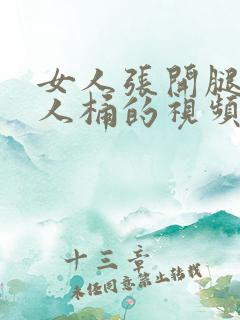 女人张开腿给男人桶的视频