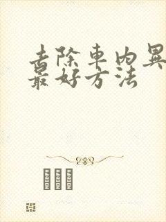 去除车内异味的最好方法