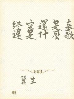 终究还是来的太迟是什么歌