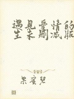 遇见爱情的利先生未删减版