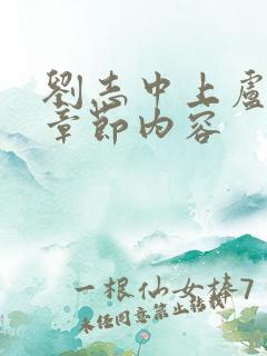 刘志中上卢玉梅章节内容