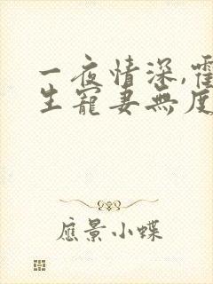 一夜情深,霍先生宠妻无度网络小说