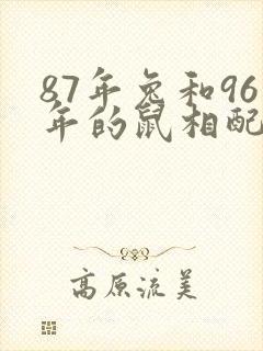 87年兔和96年的鼠相配吗