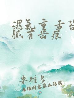 湿气重 舌苔白腻有齿痕