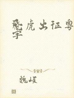 飞虎出征粤语中字