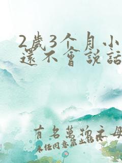 2岁3个月小孩还不会说话