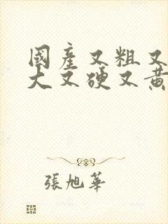 国产又粗又长又大又硬又黄视频