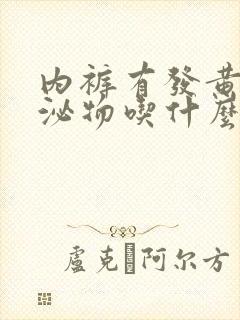 内裤有发黄的分泌物吃什么药